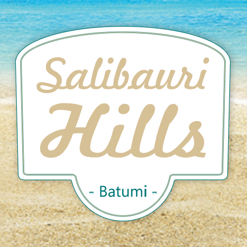 salibaurihills.ge