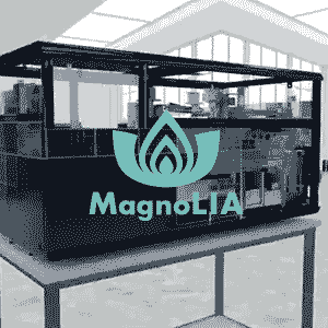 magnolia.alkorbio.ru