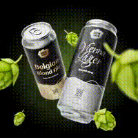 brewwave.ru