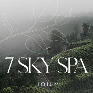 7sky.liqium.com