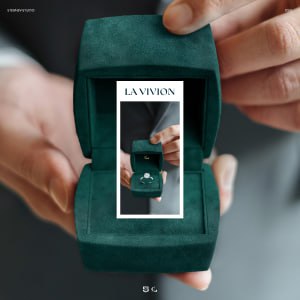 lavivion.stebnev-studio.ru