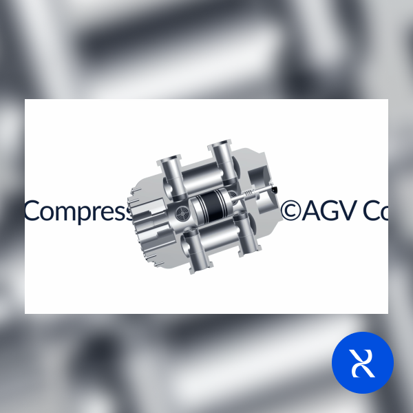 agv.ru