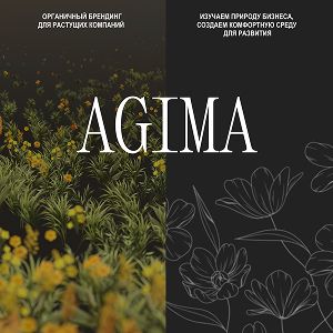 branding.agima.ru