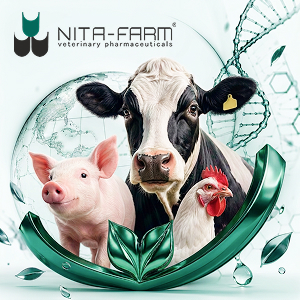 nita-farm.ru
