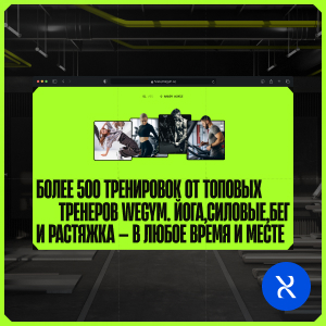 wegym.ru