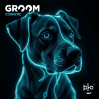 groomcosmetic.com