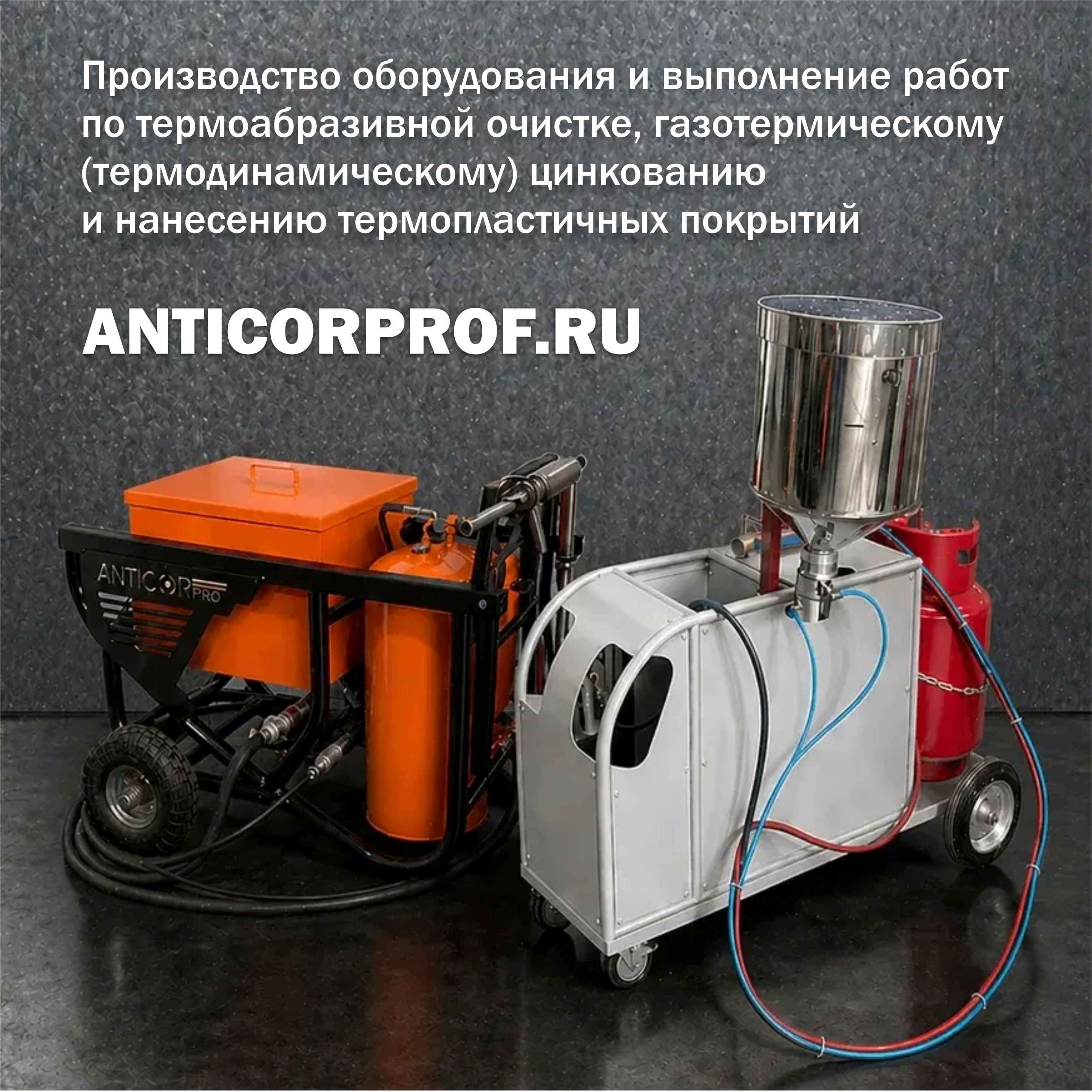 anticorprof.ru