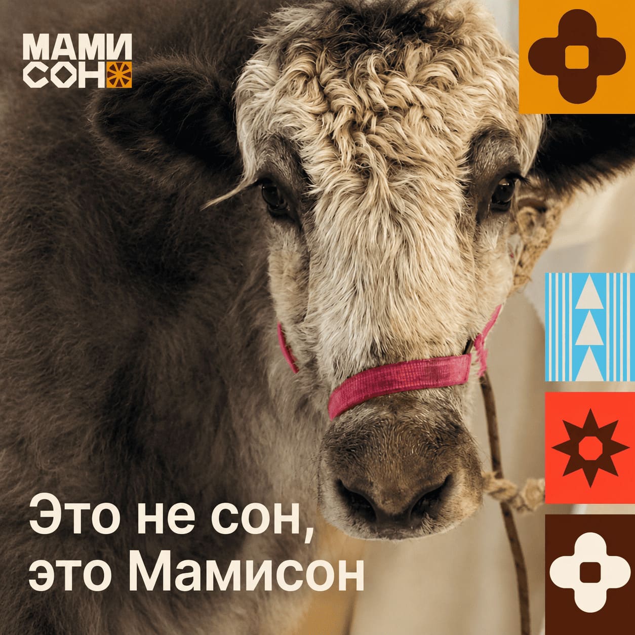 mamison-resort.ru